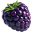 szeder
