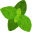 menta