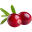 tőzegáfonya